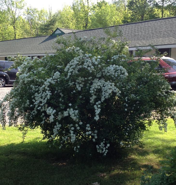 Mcgregor Inn Motel Wilton Exterior photo