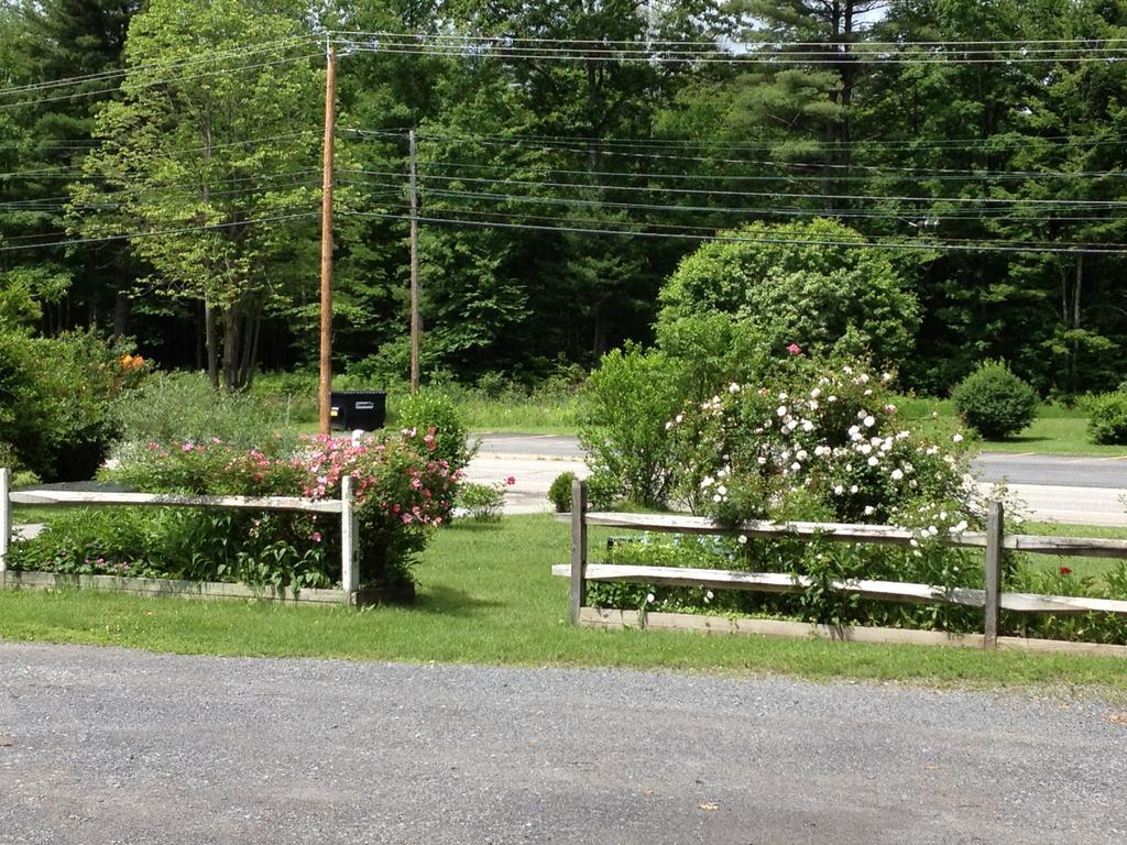 Mcgregor Inn Motel Wilton Exterior photo